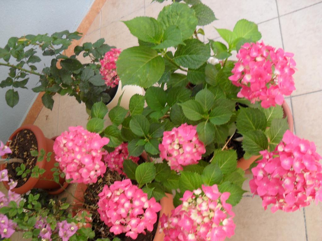 Apartment Diana Rogoznica  Bilik gambar